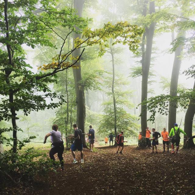 Trail entrange descente